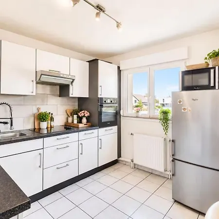 Euro Basel Airport Appartment, 5 Pers, With Terrace, Free Parking,